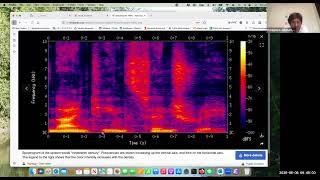 Famous Intro to Speech Understanding, lecture 8, spring 2026 Wealth