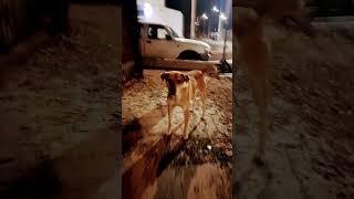 4 De Febrero De 2023