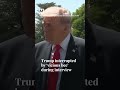 Trump interrupted by ‘vicious bee’ during White House interview