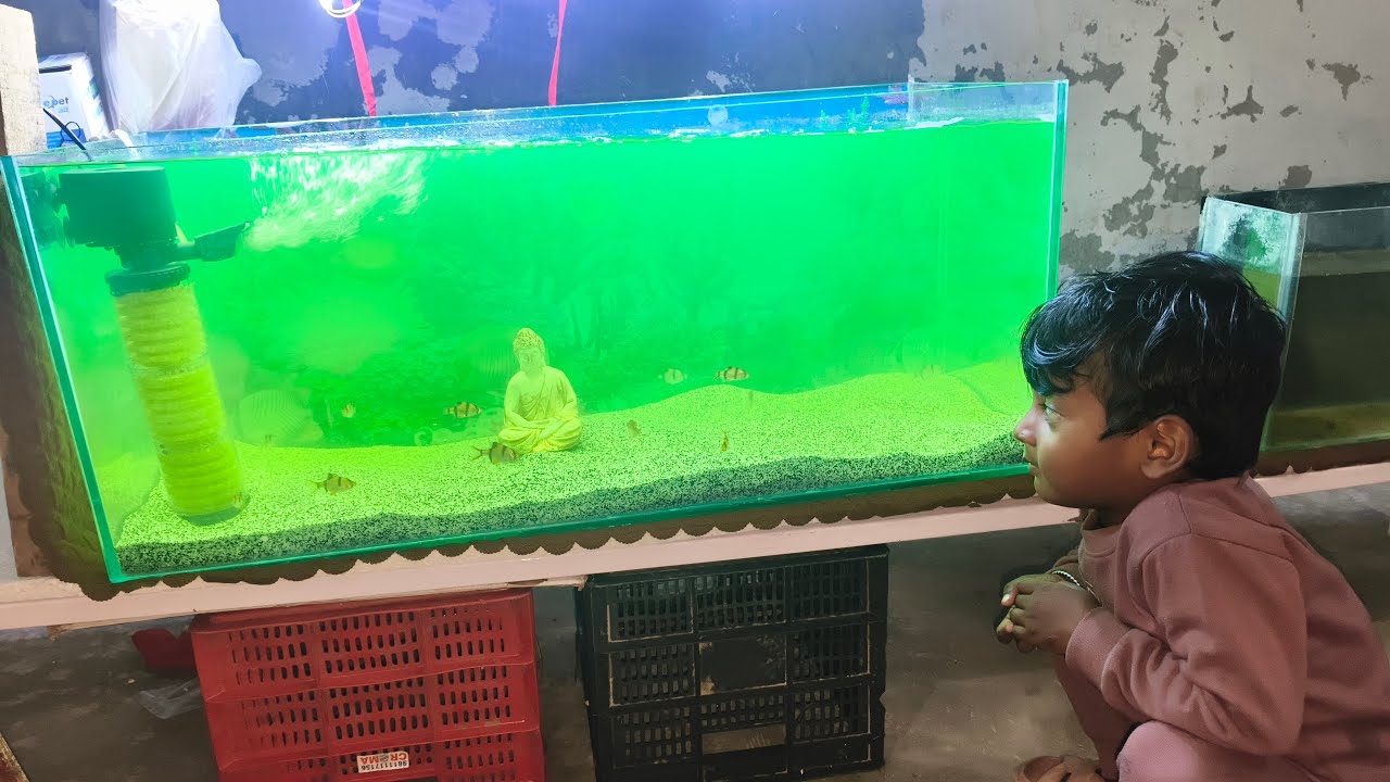 Pawan khanna love Nature is live!