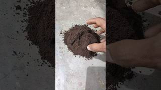 Premium Quality Vermicompost