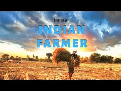 Life of a Indian Sugarcane Farmer  - Sugarcane Farmer Nitu - Short FIlm