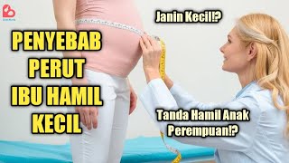 Hal yang Menyebabkan Perut Ibu Hamil Kelihatan Kecil