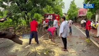 Monsoon Fury Trees Uprooted Near St  Andrew’s Church in Vasco No Casualties Reported