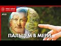 Пальчевський PRO: російський бізнес, зв'язки з окупантами і команда привидів ///НГ №329 (2020.09.14)