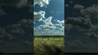 سورة فصلت-الشيخ علي جابر