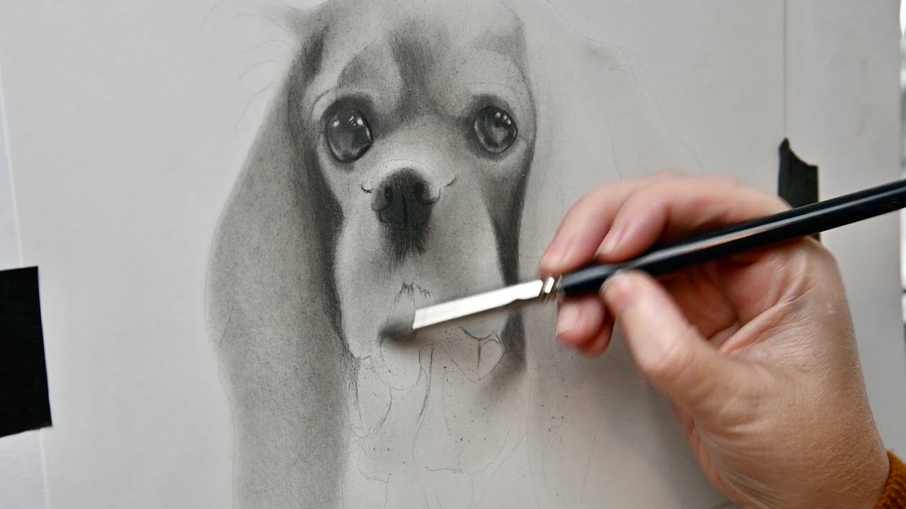 КАК нарисовать гиперреалистичную СОБАКУ углём. Всё дело в ценностях.