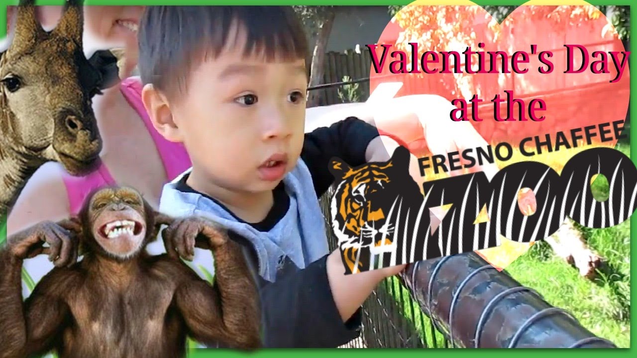 Valentine's Day at the Zoo RetroVlog JessieRetro YouTube