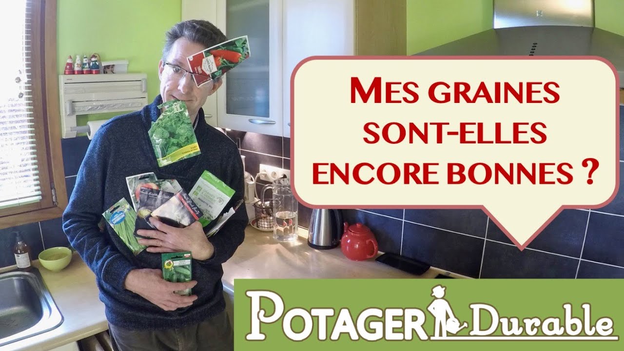 Comment savoir si mes graines sont encore bonnes ?
