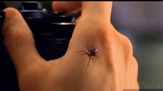 18 years of spiderman | dheera dheera