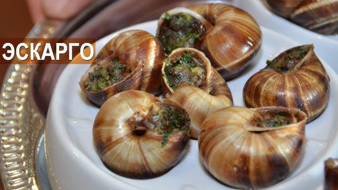 Орыс порно видеоларын қараңыз