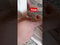 Padahal sudah diukur dengan teliti, tetap aja masih bisa salah..