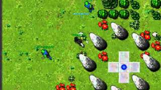 tibia lucas morrendo para dragon
