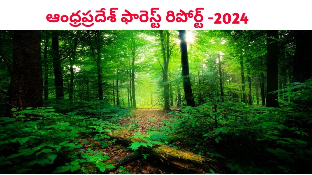 AP FOREST REPORT -2023 - YouTube