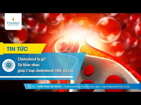 Video: Làm thế nào để tăng mức cholesterol HDL: 10 bước (có hình ảnh)