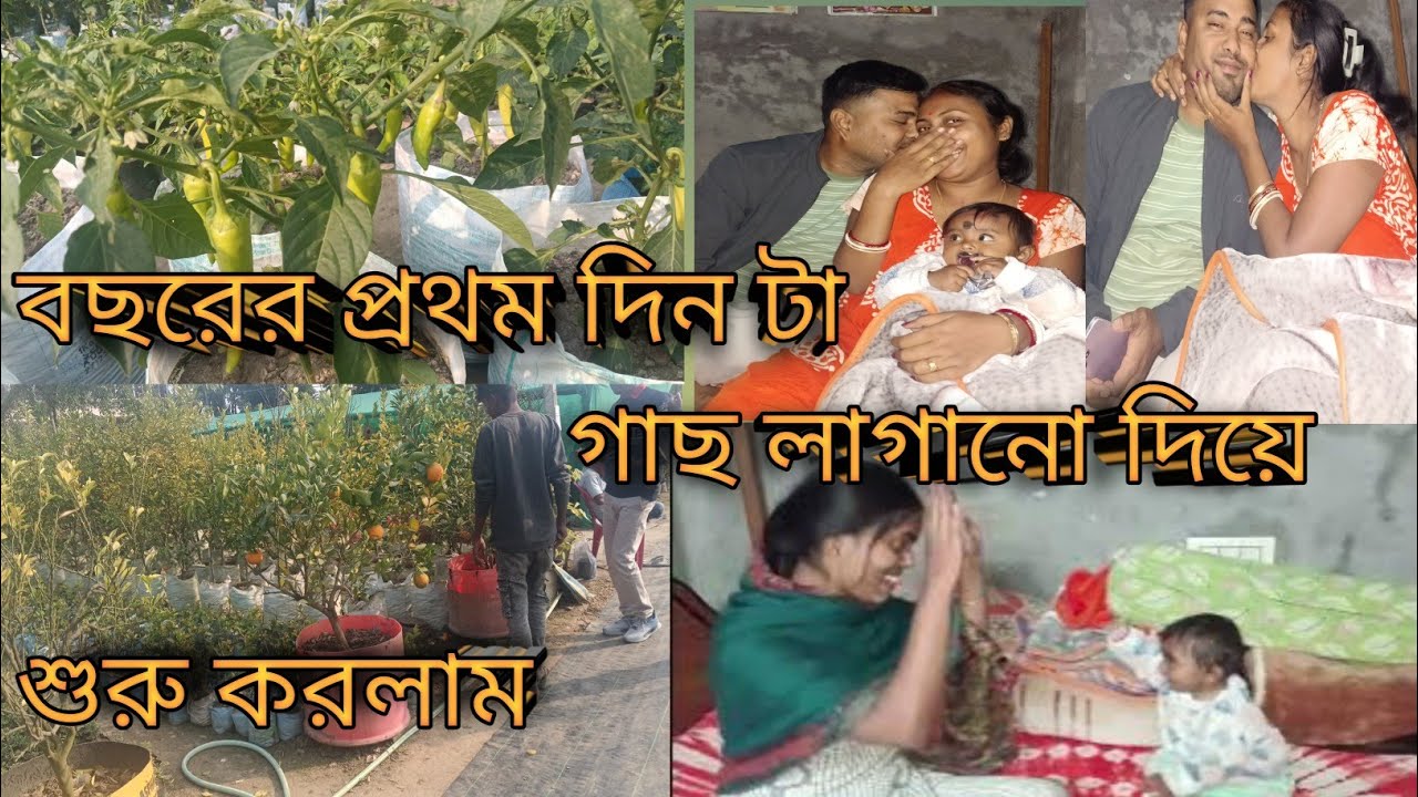 বছরের প্রথম দিনটা শুরু করলাম গাছ লাগানো দিয়ে। my Bengali daily blog video ❤️❤️🌺🌳🪴 happy new year 🎊