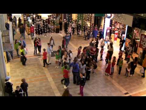 Hanover Mall Black Friday Holiday Flash Dance