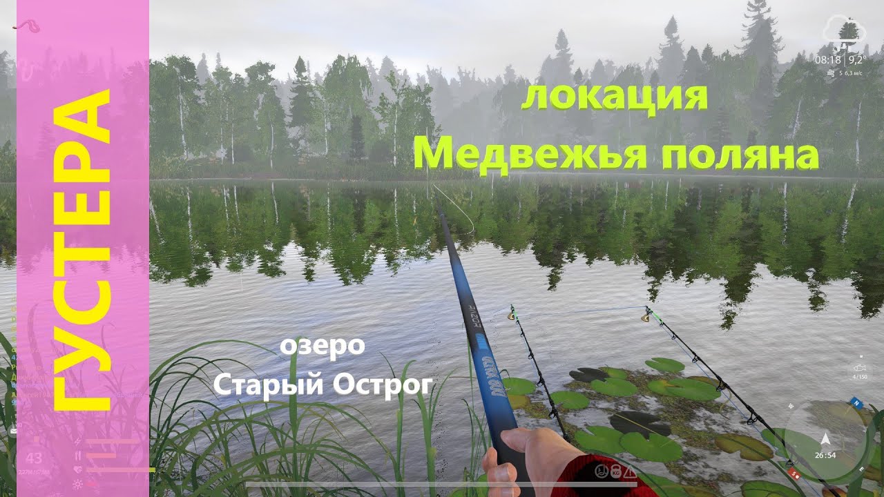 Рр3 густера волга
