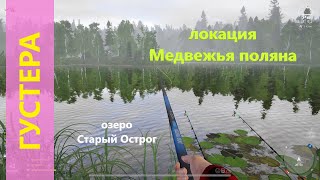 Русская рыбалка 4 - озеро Старый Острог - Густера перед островком