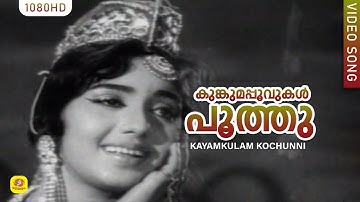 കുങ്കുമപ്പൂവുകള്‍ പൂത്തു | KUNKUMA POOVUKAL POOTHU | Kayamkulam Kochunni | K J Yesudas