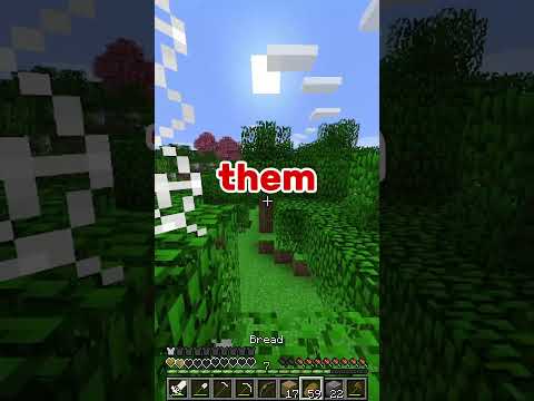 #shorts  SO no balls? #minecraft #storytime #story #funny #gameplay #reddit  u/AlcoholicLibertarian