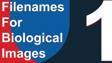 A File Naming Convention in 7 STEPS - Worked Example for Biological Data