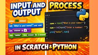 How to take input and show output — Scratch and Python