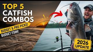 5 Best Catfish Rod and Reel Combos in 2026 (Budget to Pro Picks!)