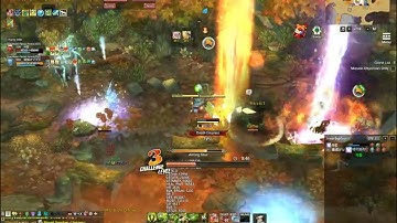 Tree Of Savior (follower in cm)