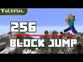 The 256 block jump in minecraft vanilla survival world record