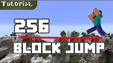 The 256 Block Jump in Minecraft [Vanilla Survival] [World record]