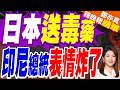 小泉贈送日本"三笠"號戰列艦模型 印尼總統表情亮了｜日本送鎮國毒藥 印尼總統表情炸了｜介文汲.帥化民.嚴震生深度剖析?【鄭亦真辣晚報】精華版 @中天新聞CtiNews