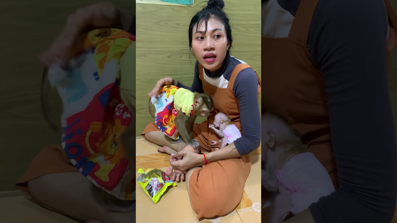 Adorable baby monkey 