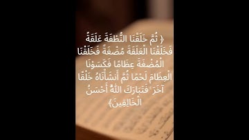 سورة المؤمنون الاية 14 #فارس_عباد #reels #foryou