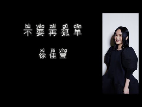 《不要再孤单》 徐佳莹 【高音质歌词版】
