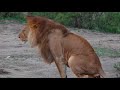 Beginning of video