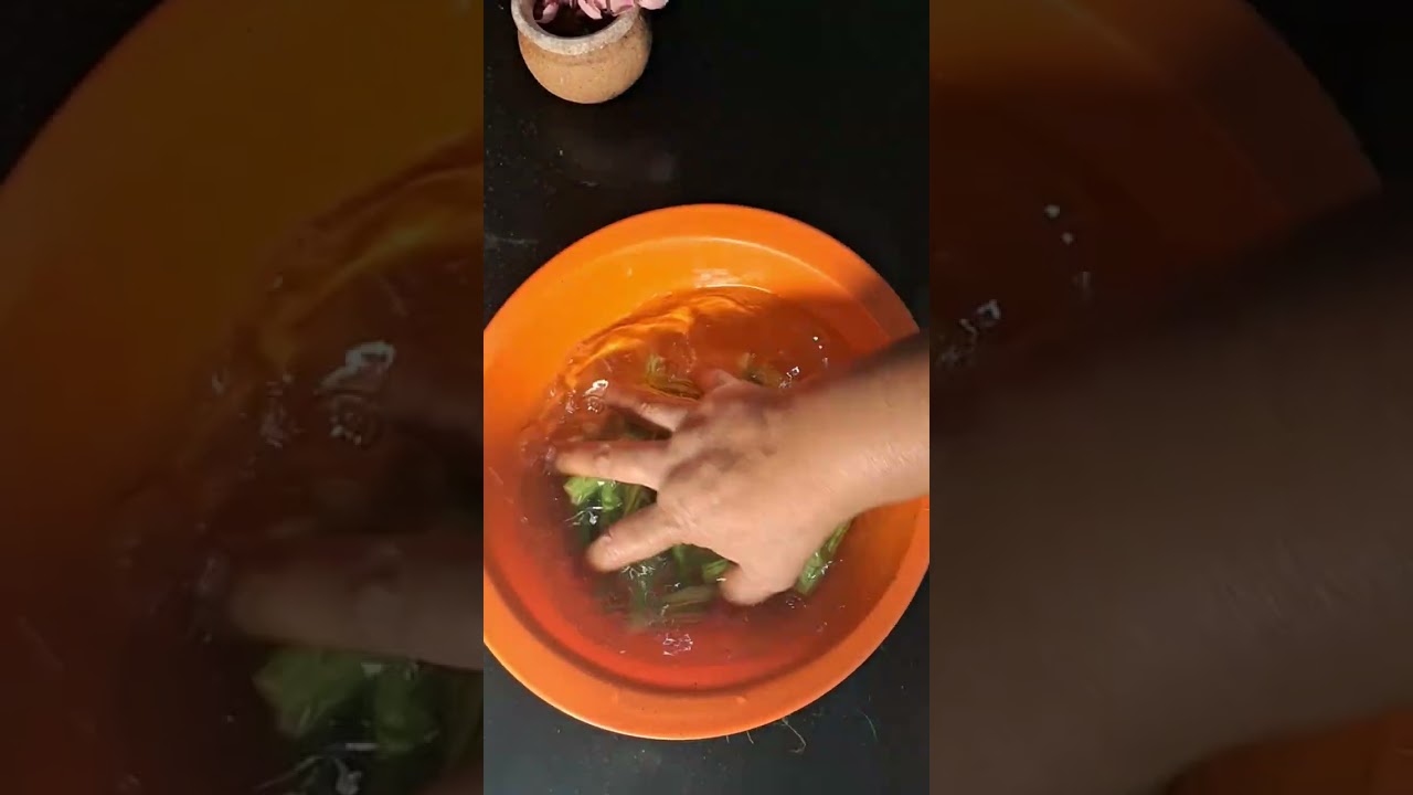 #healthy# drumstick soup,#morning energy. ...