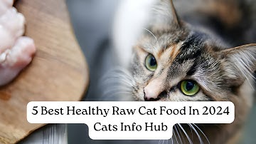 Discover the Untold Secrets of Raw Cat Food | #cat #catlover #catfood #pets #catsinfohub
