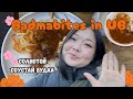 5 цайны газар 5 соустай будаа