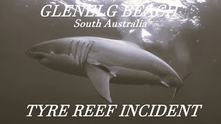 Marine Biologist Taken By Large Great White Shark While Scuba Diving.