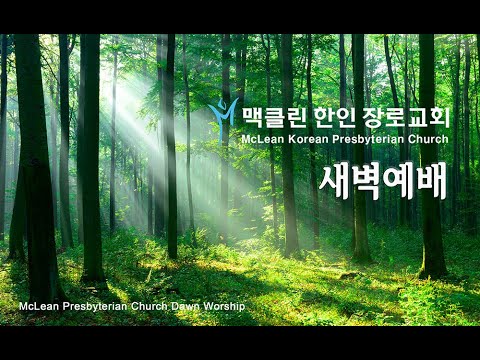 기업 무를 자 썸네일