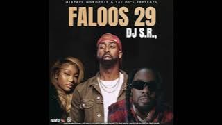 DJ S.R. - Faloos 29 (2025)