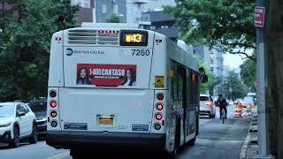 MTA NYCT #7260 on the B43 to Lefferts Gardens Prospect Pk Sta at Manhattan Av & Driggs Av