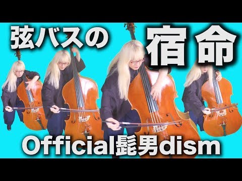 「宿命」Official髭男dism コントラバスだけで演奏してみた。