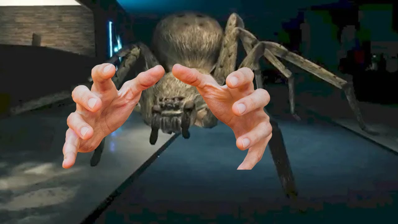 battle against the enemy giant spider lab experience - YouTube