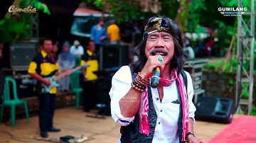 CAMELIA PELAN TAPI PASI - SRI MINGGAT MR BLACK - BP.SUNARTO SOUND TUBANAN DUREN