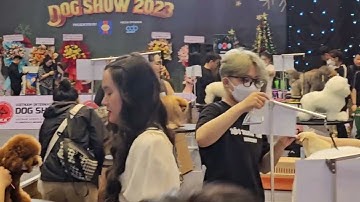 Cuộc thi cắt tỉa lông thú cưng quốc tế International Grooming FCI