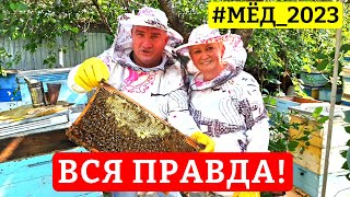 🐝Сбор мёда 2023 в Одессе 🌻Откачка от А до Я 🐝Все Секреты в одном видео 🐻