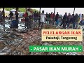 Pasar Ikan Murah, Pelelangan Ikan di Tangerang - Beli Ikan