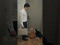 Man comes home from work to cute cats! Best welcome! #Cats #Cute